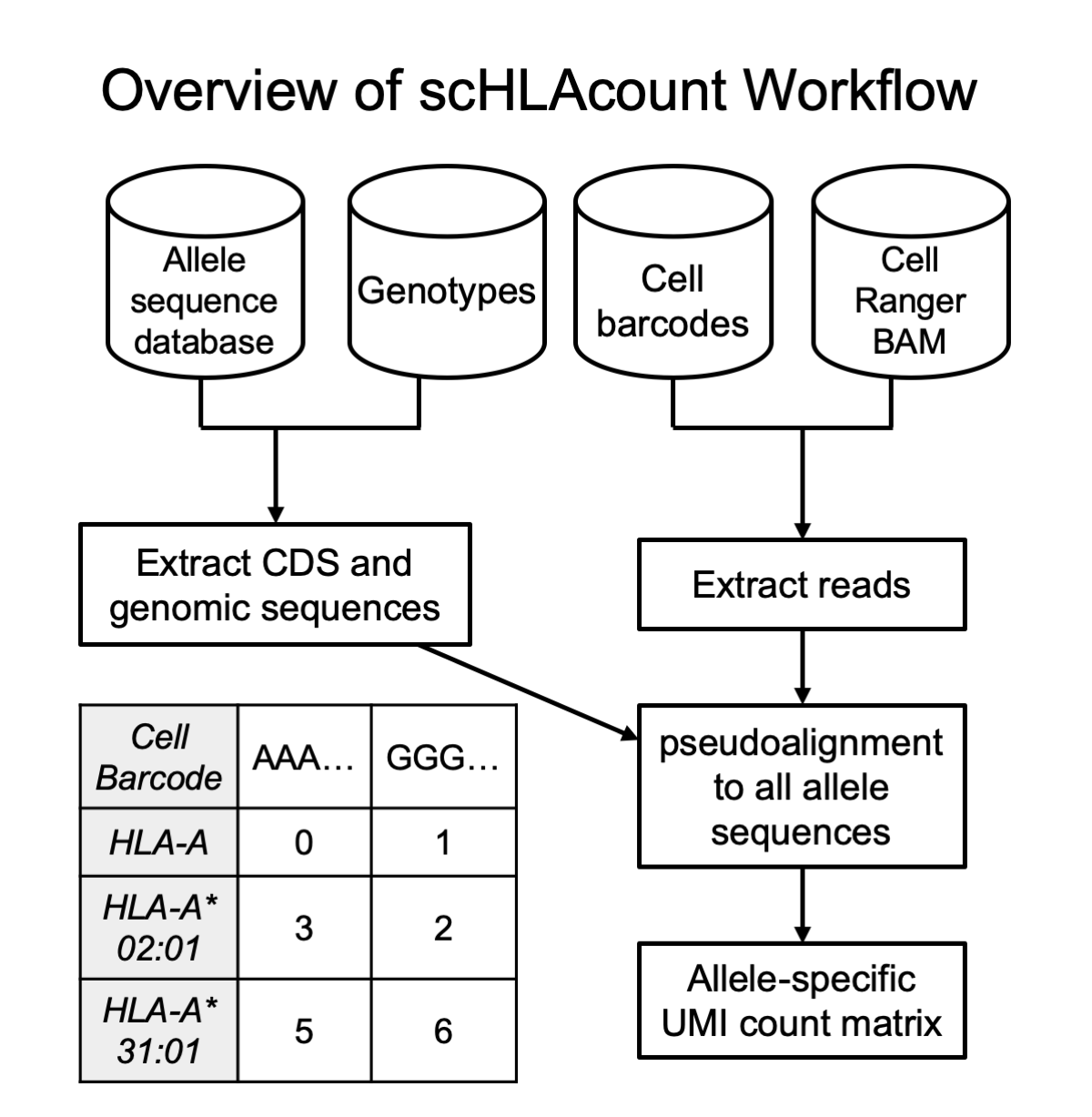 Workflow Figure