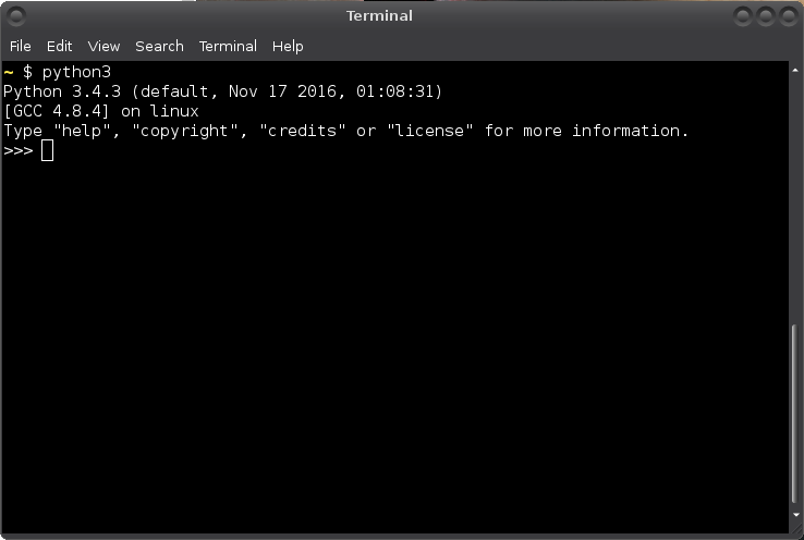 Running Python on my terminal.