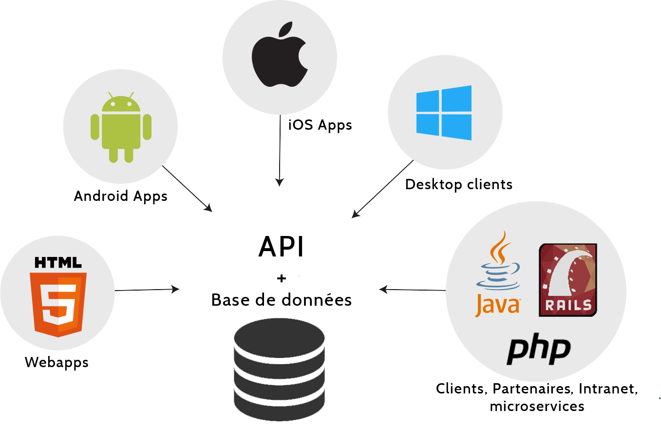 Schema API