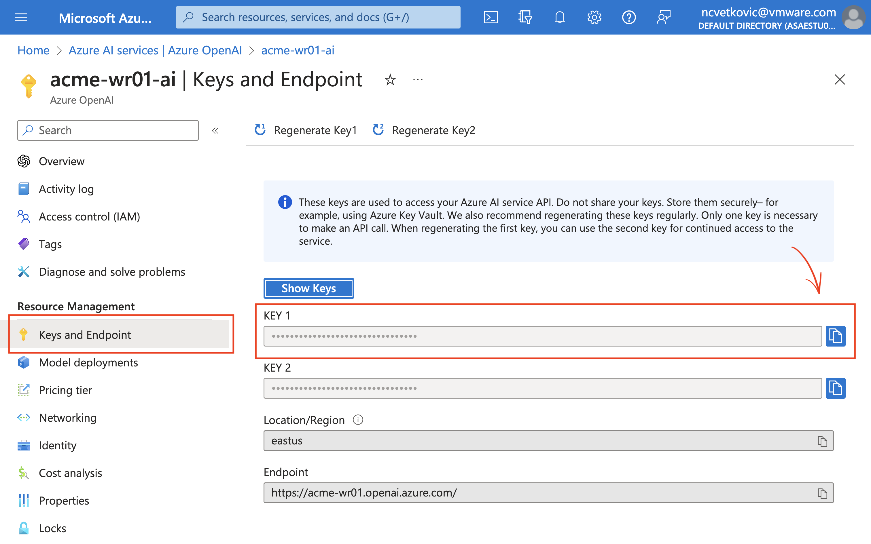 A screenshot of the Azure Portal OpenAI instance.