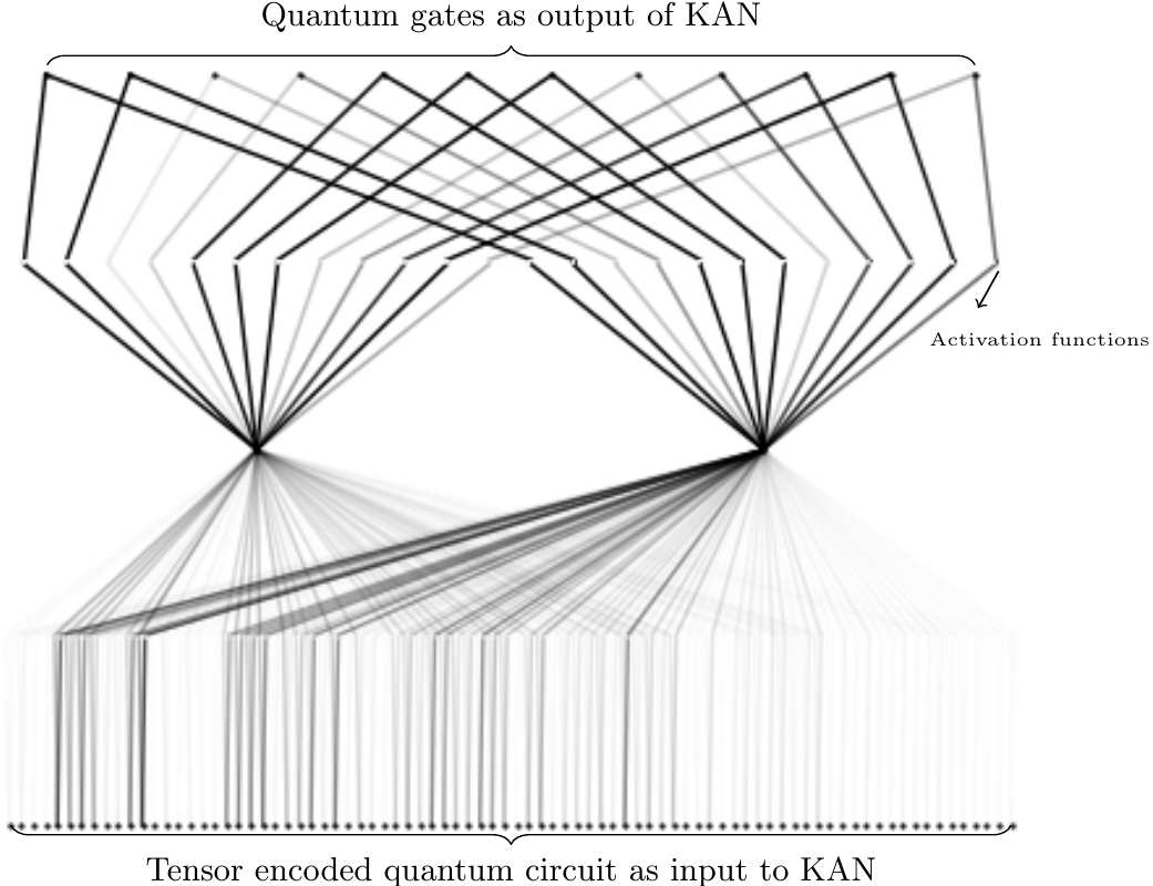 The learned nerwork