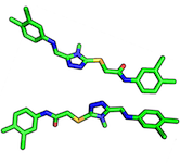 ligand orientation