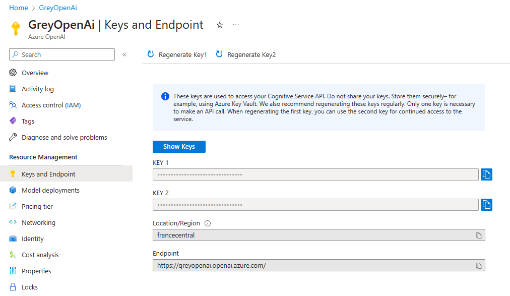 OpenAI Key and Endpoint