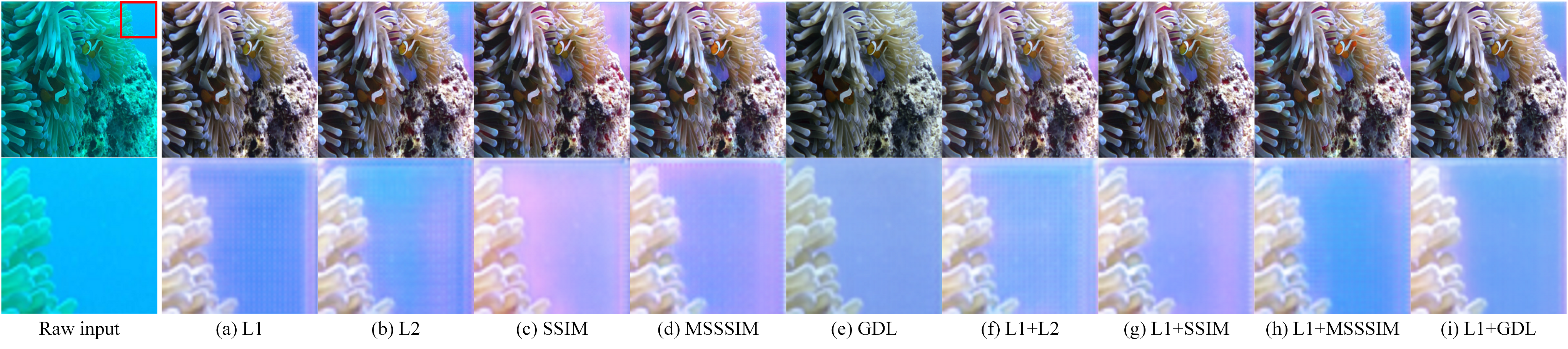 different loss functions