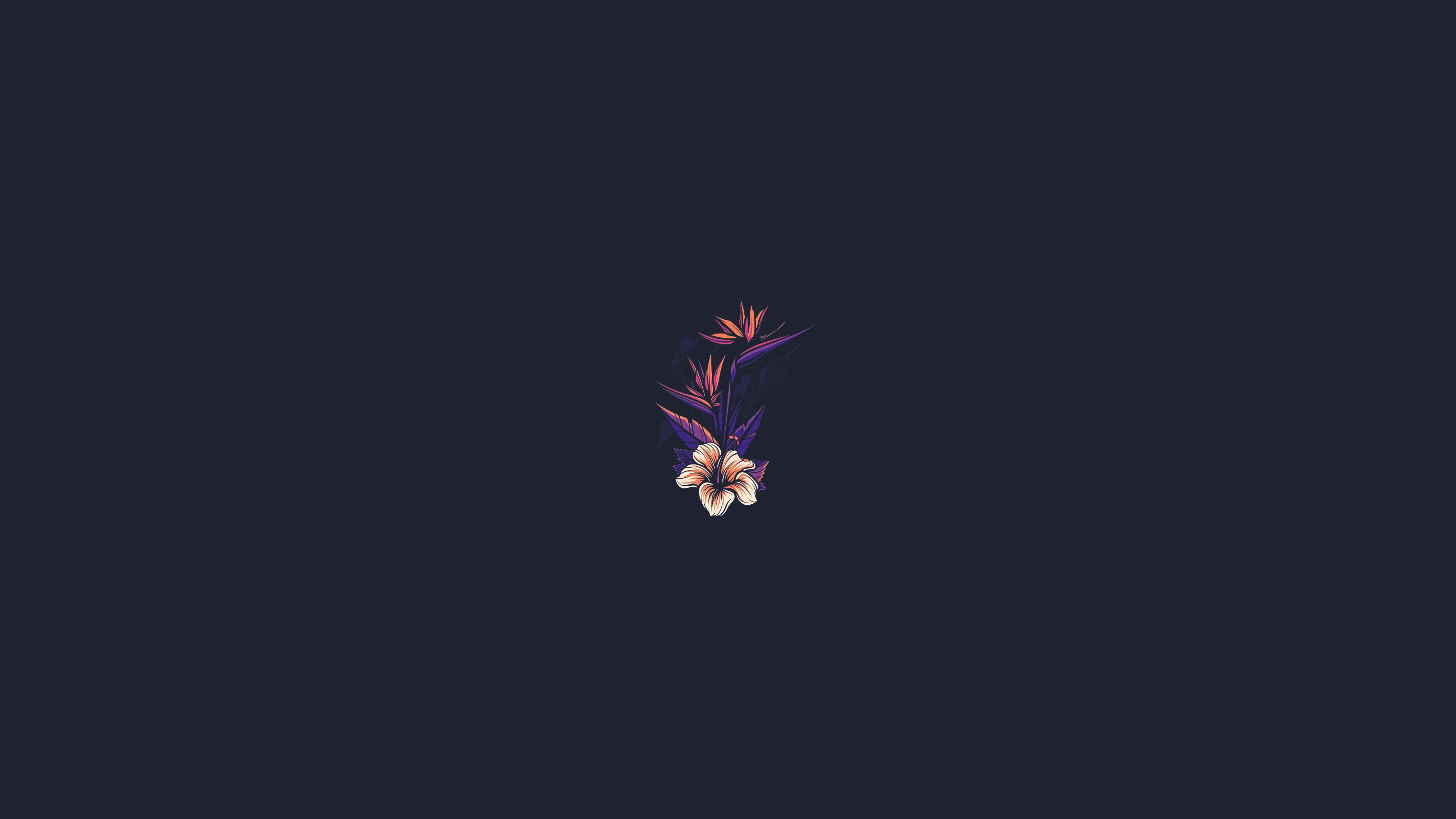 a_flower_on_a_dark_background