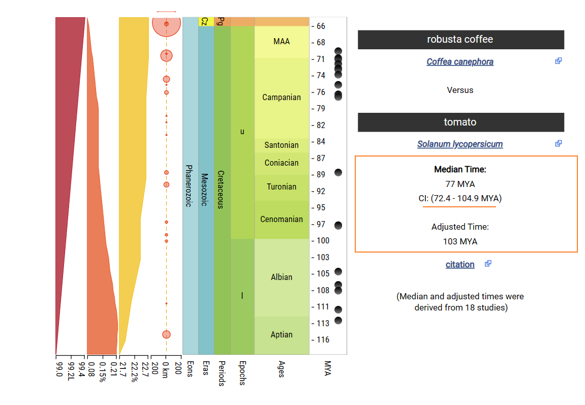 Coffea_canephora_Solanum_lycopersicum_timetree