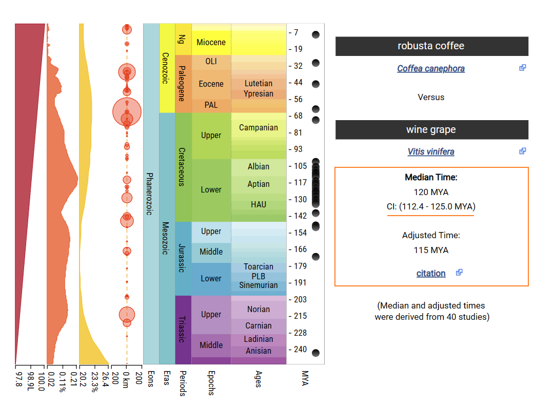 Vitis vinifera_Coffea_canephora_timetree.png