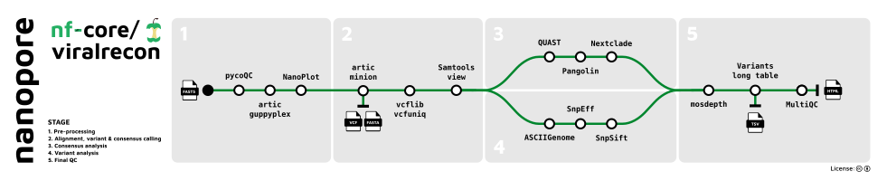 nf-core/viralrecon Nanopore metro map