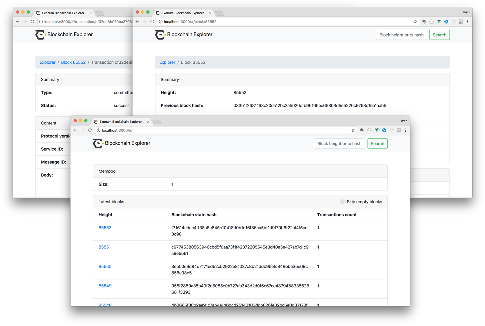 Exonum Blockchain Explorer