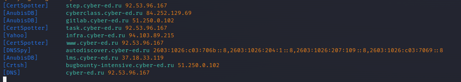 Amass Subdomain Enumeration