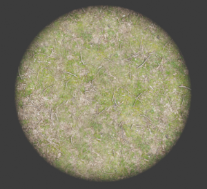 grass2