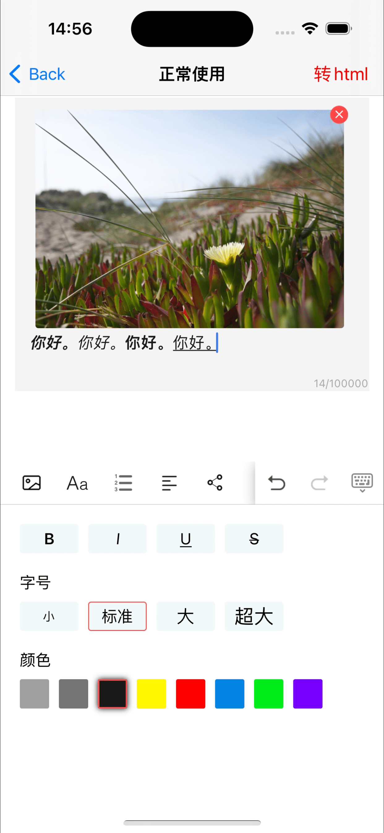 字体样式