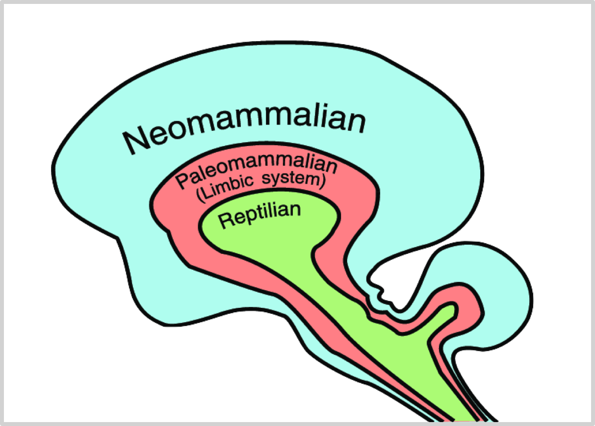 Figure31