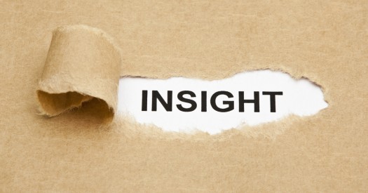 insight Logo