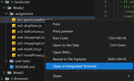 Open in Integrated Terminal