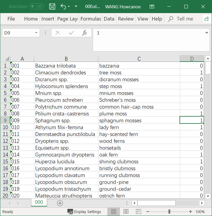 xlsx example