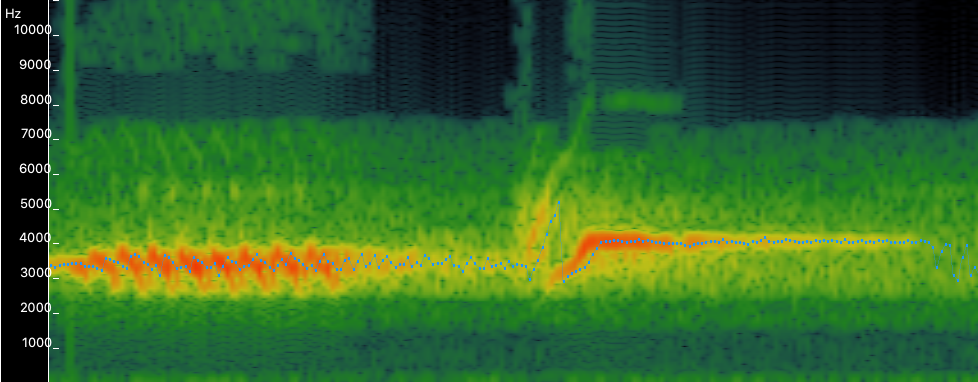 Finch birdsong analysis