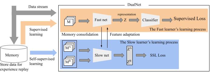 DualNet