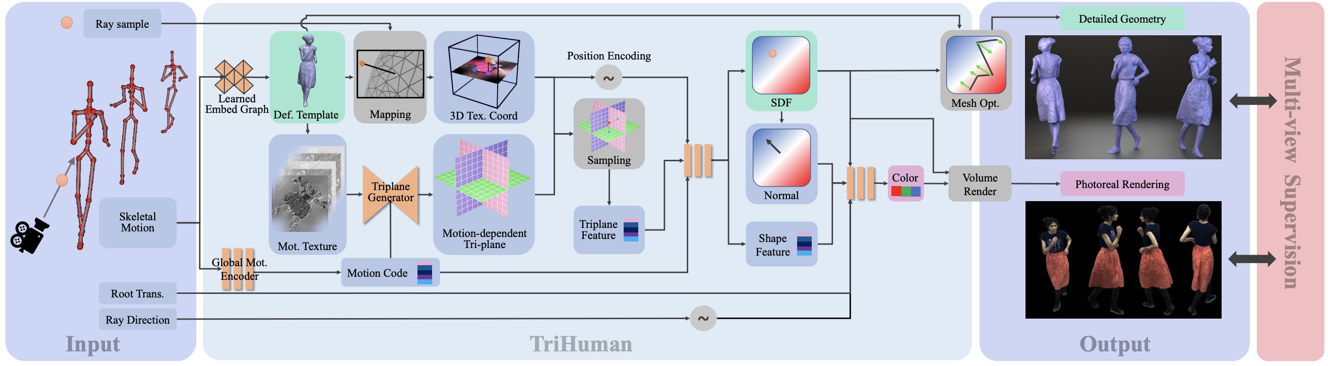 TriHuman