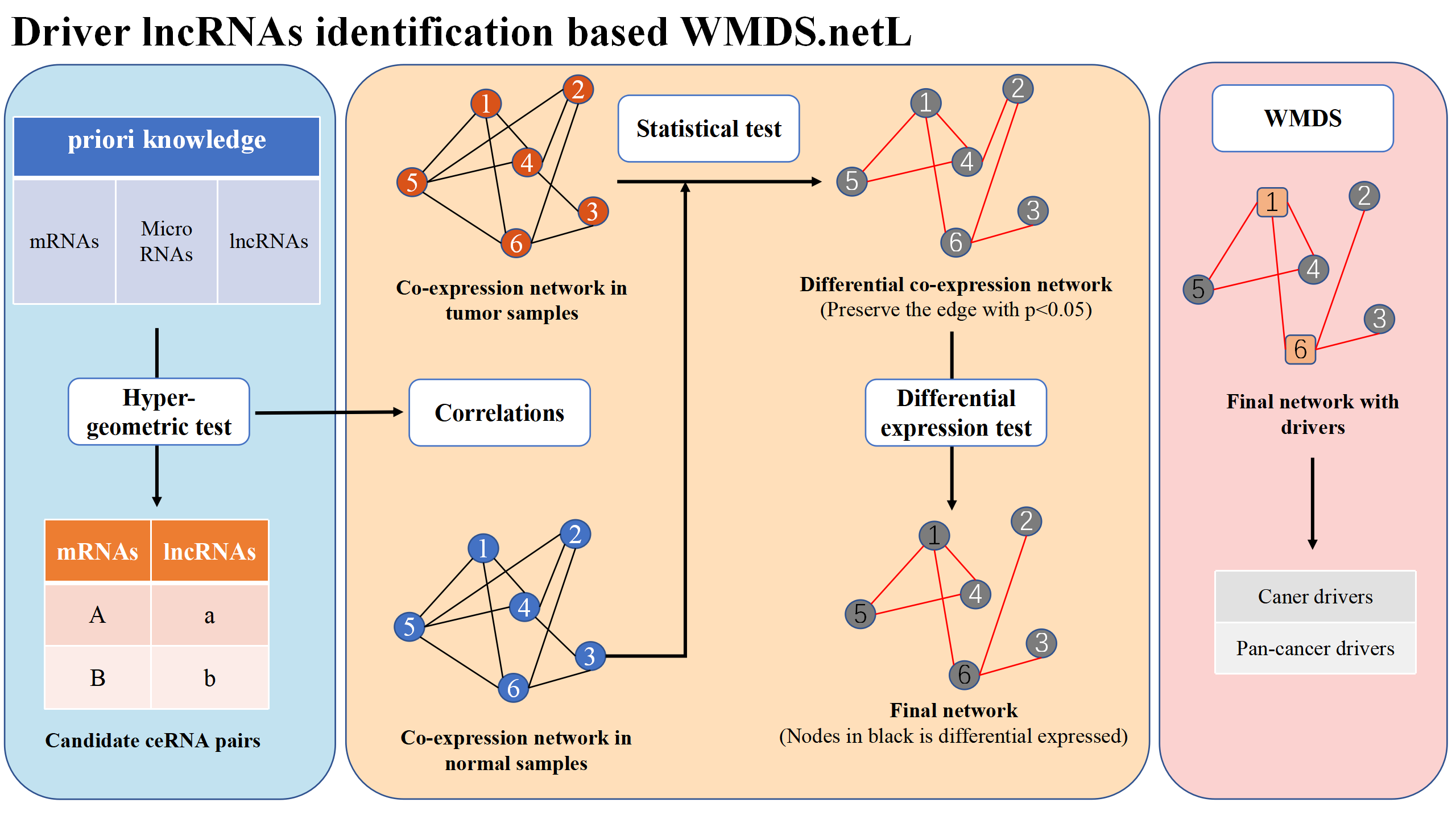 Workflow of WMDS.netL