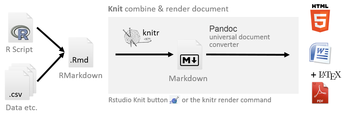 RMarkdown workflow