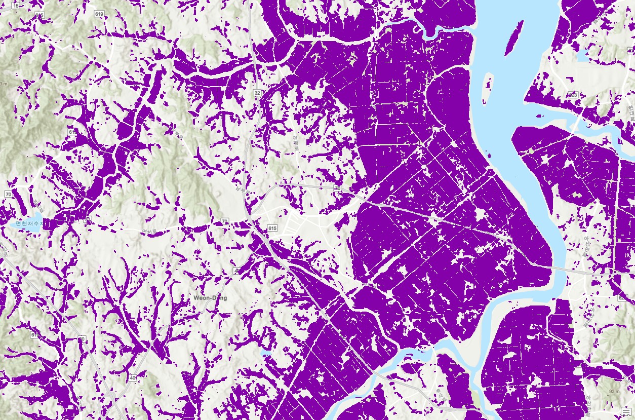 Paddy Rice mapping (binary) with DL