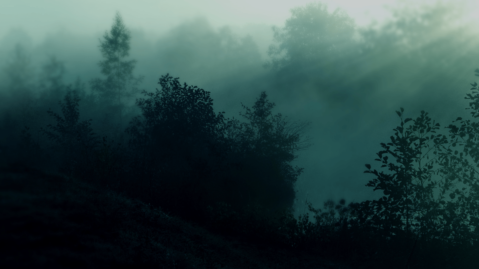 a_foggy_forest_with_trees_and_bushes