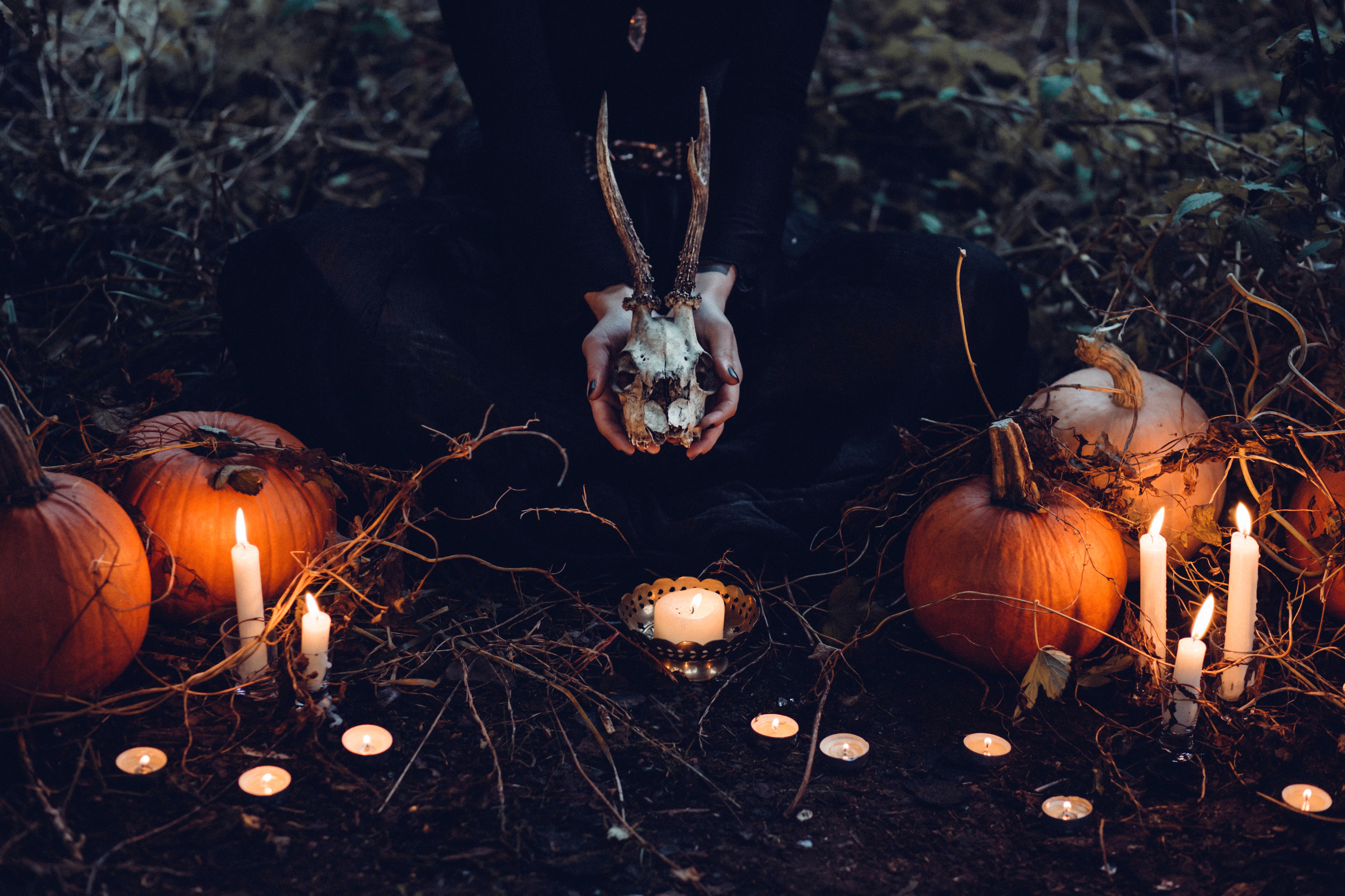 a_person_holding_a_skull_and_pumpkins