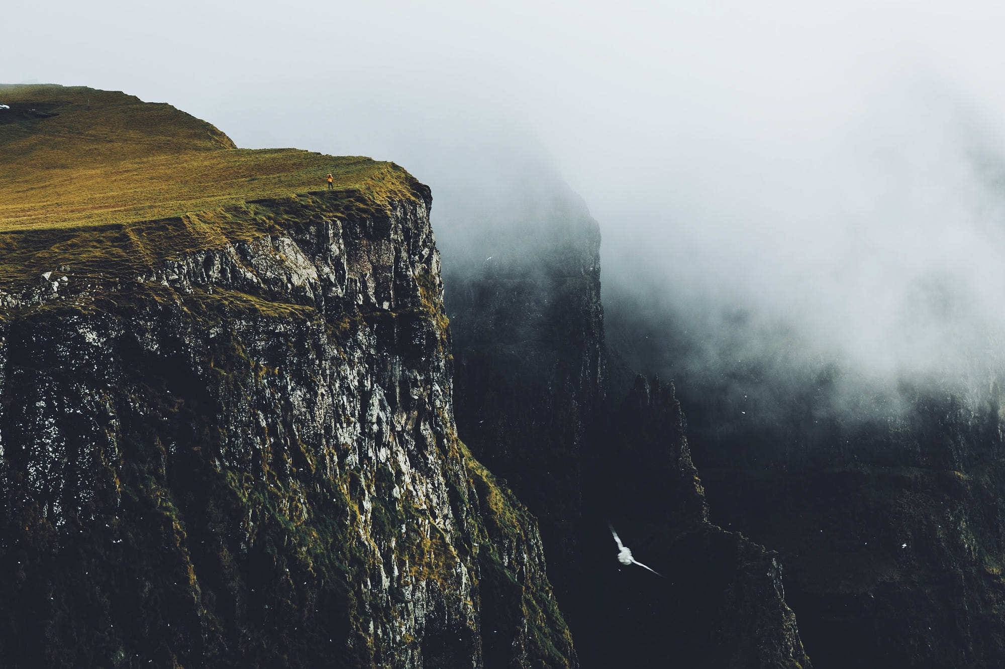 a_cliff_with_fog_and_grass