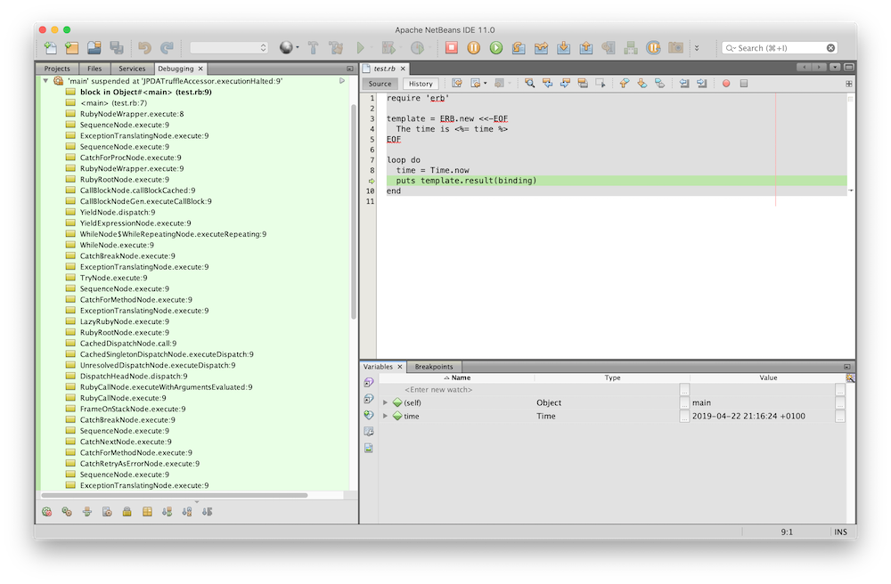 NetBeans debugger session