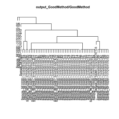 dendrogram