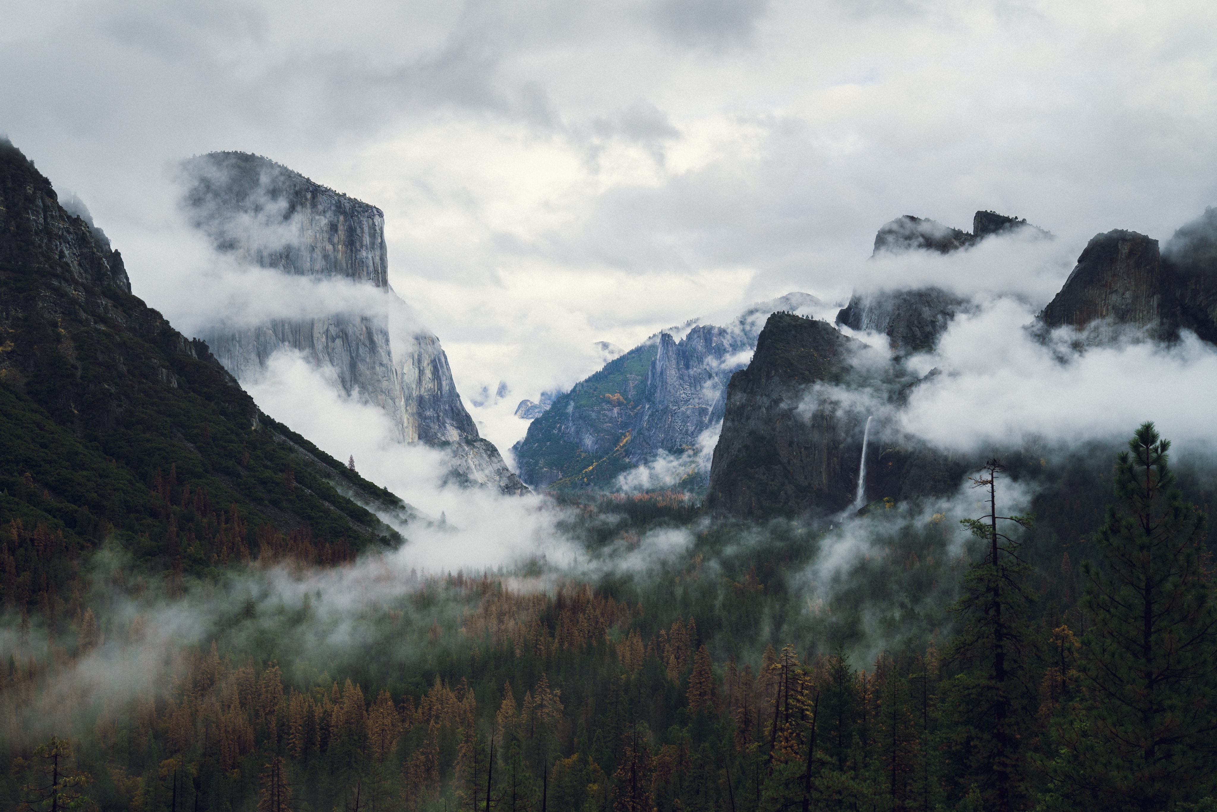 a_valley_with_trees_and_mountains