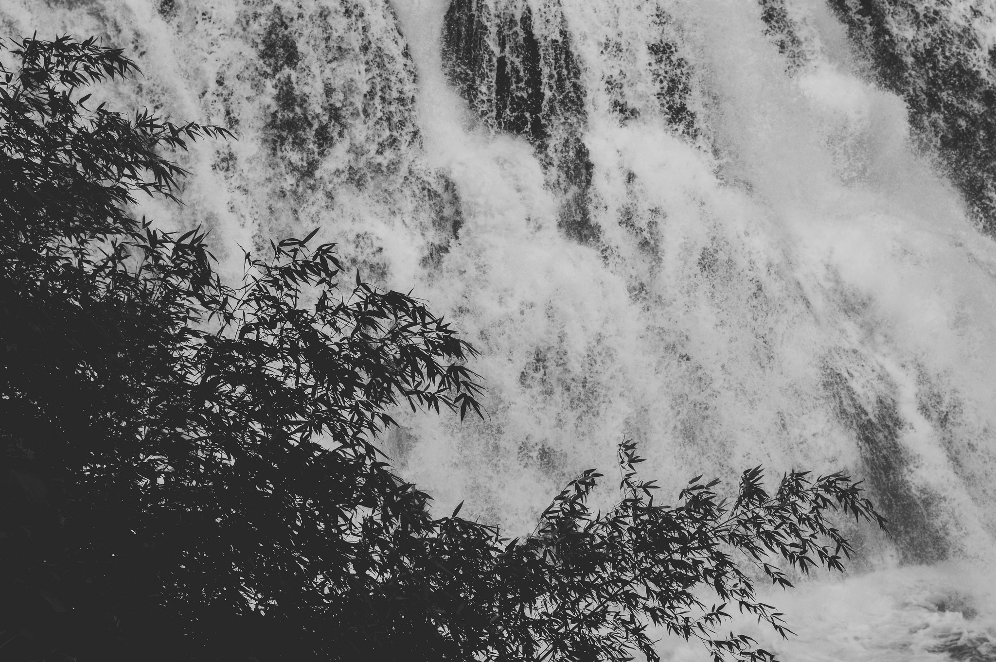 a_waterfall_with_trees_in_the_background