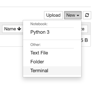 jupyter new terminal interface screenshot