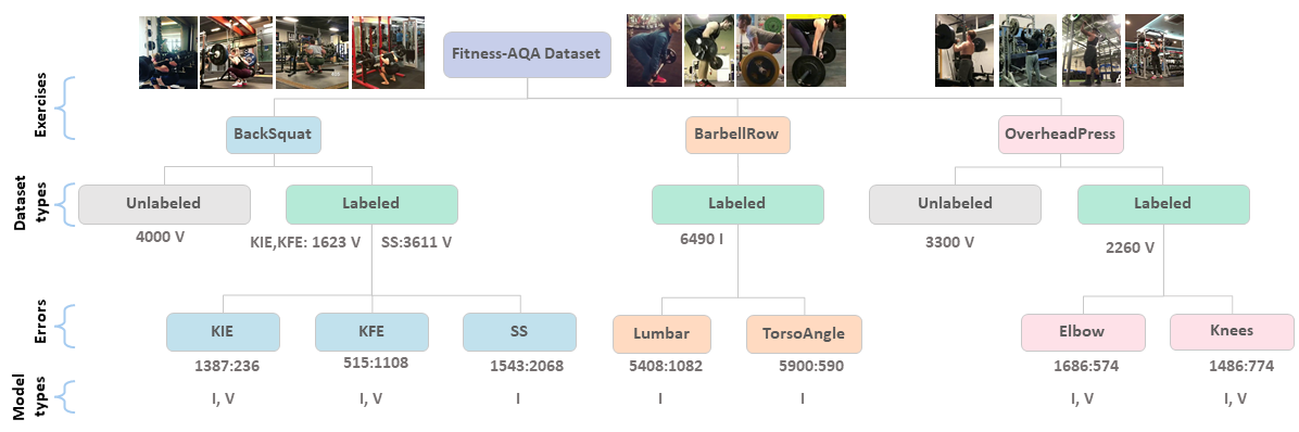 fitness-aqa_dataset