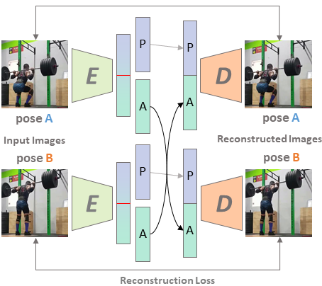 pose_appearance_disentangling