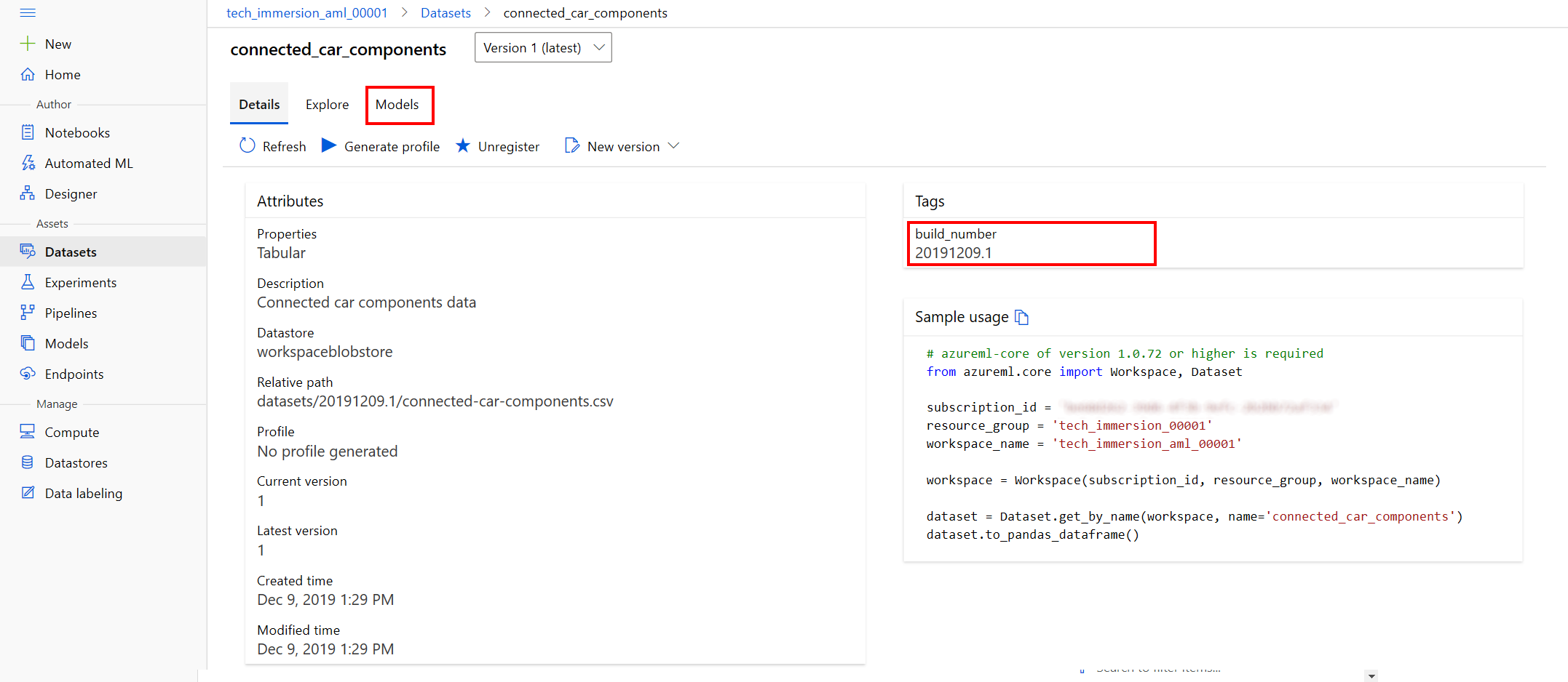 Review registered dataset version properties, notice Build_Number tag.