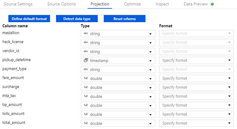 Viewing the auto assigned data types for the tripfare source