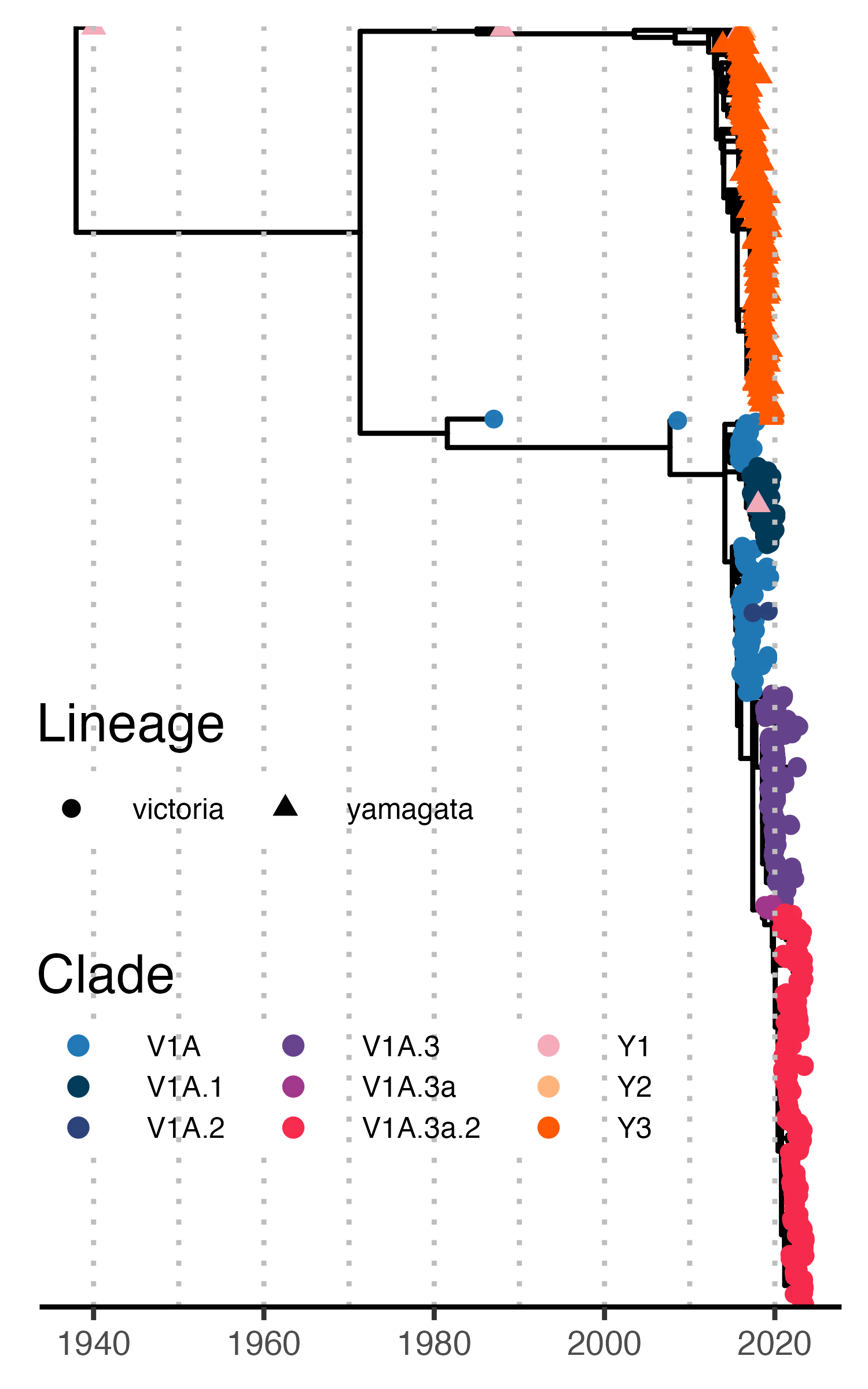 Figure 1 B