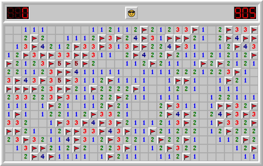 Minesweeper Expert Game Win