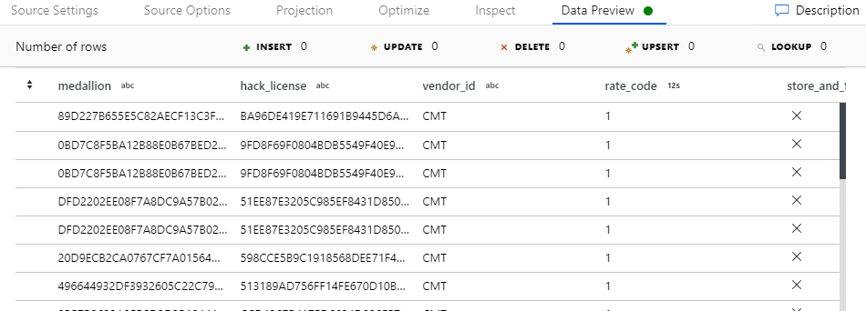 The preview showing some rows of the data