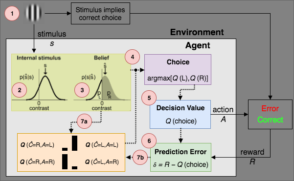 POMDP model flowchart