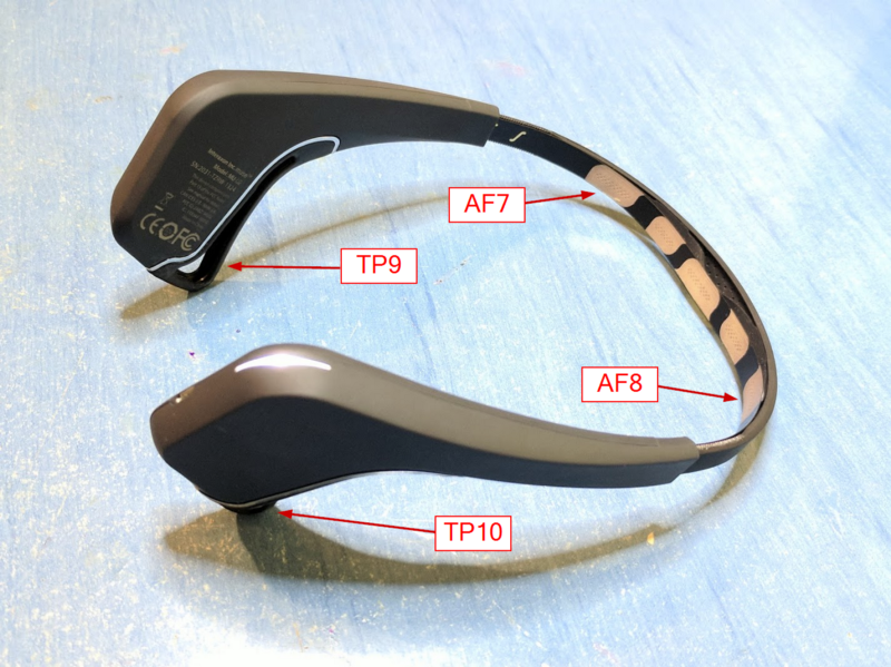 Muse 2016: AF7, AF8 are the twoforehead electrodes, TP9 and TP10 are the ear electrodes