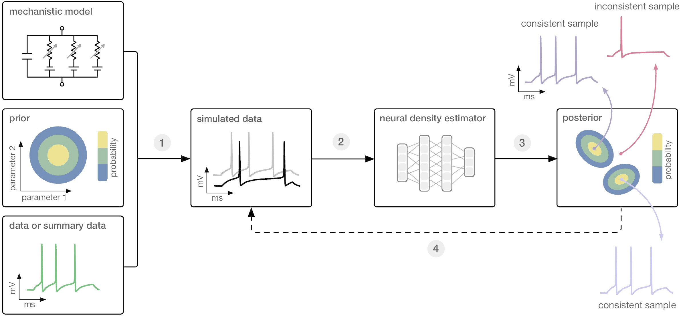 Figure from  Training deep neural density estimators to identify mechanistic models of neural dynamics, Gonçalves et al., 2020