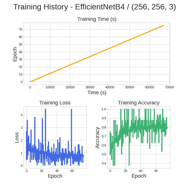 Training History Graph On EfficientNetB4