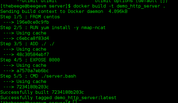 Docker build output