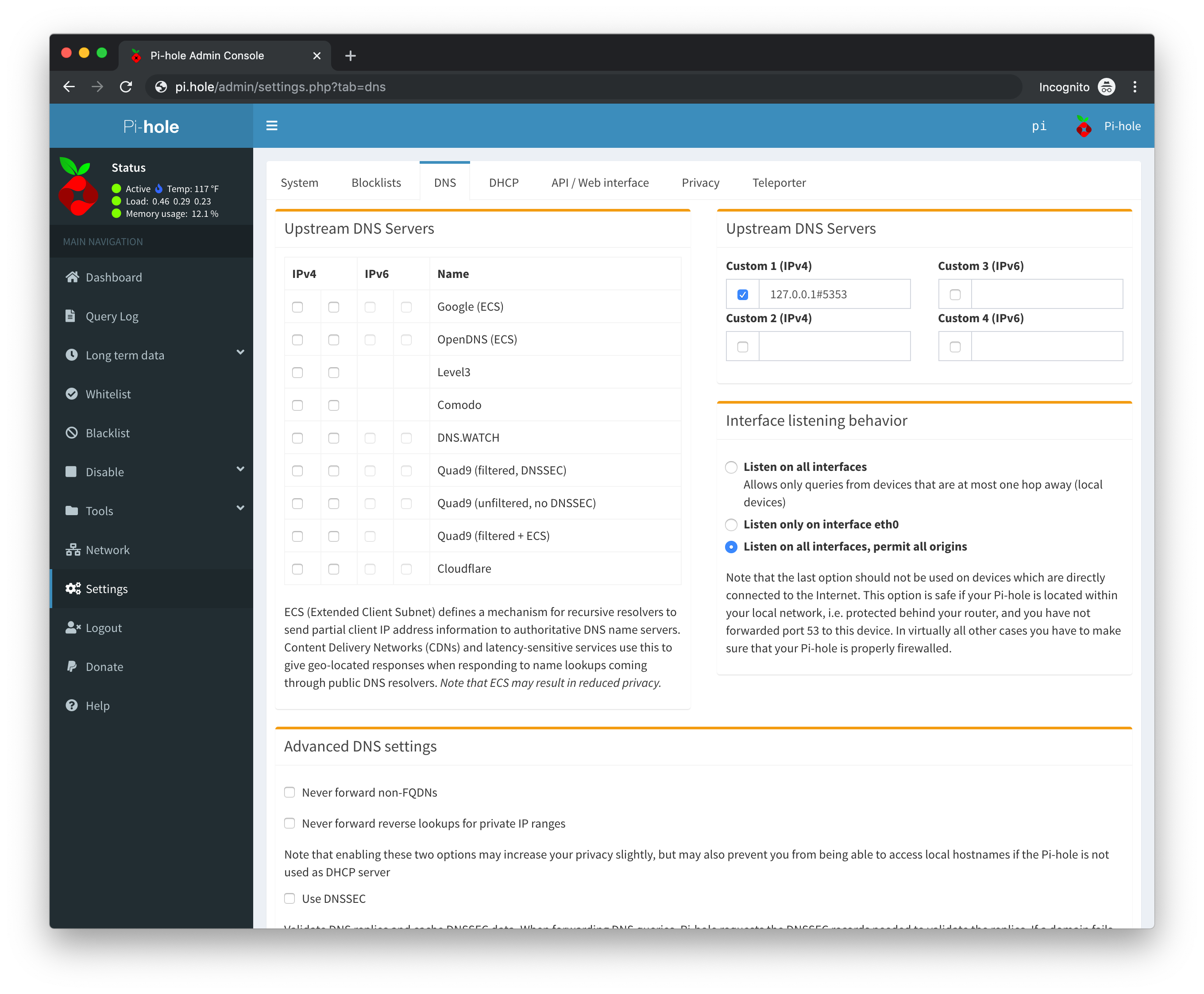 Pi-hole DNS Settings