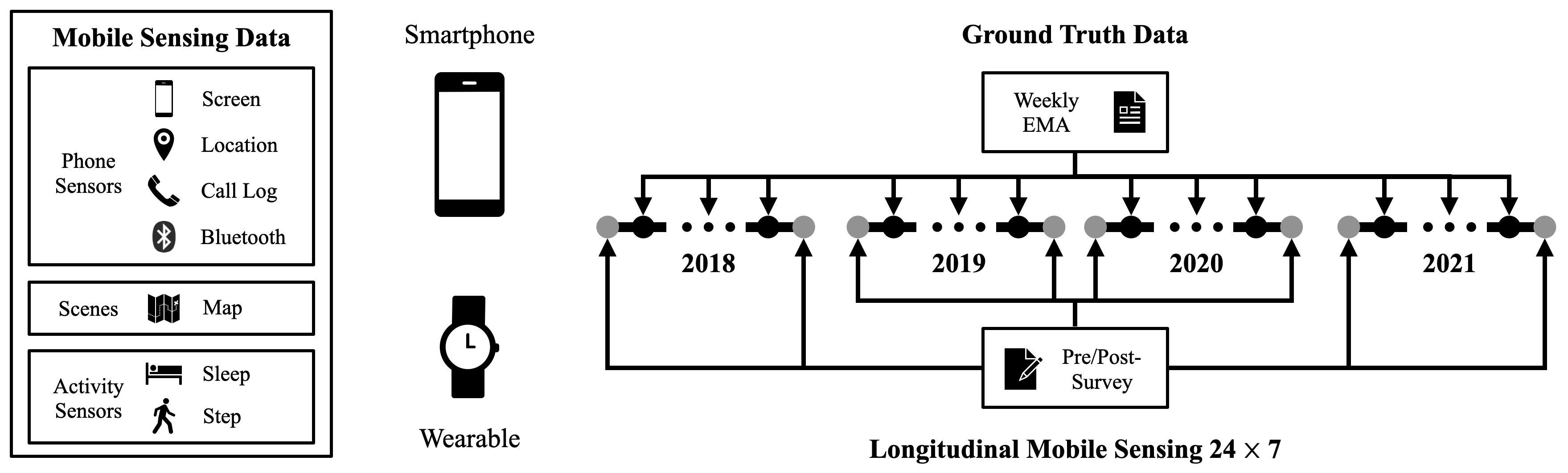 Overview of the data collection studies