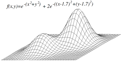 A surface image with two local maxima