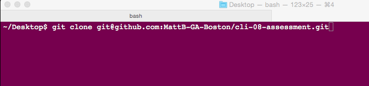 Git Clone Terminal Screenshot